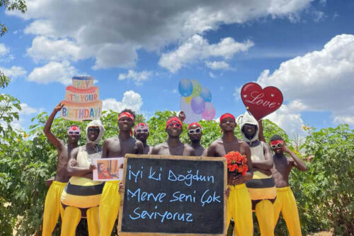 Funny Bee Team
